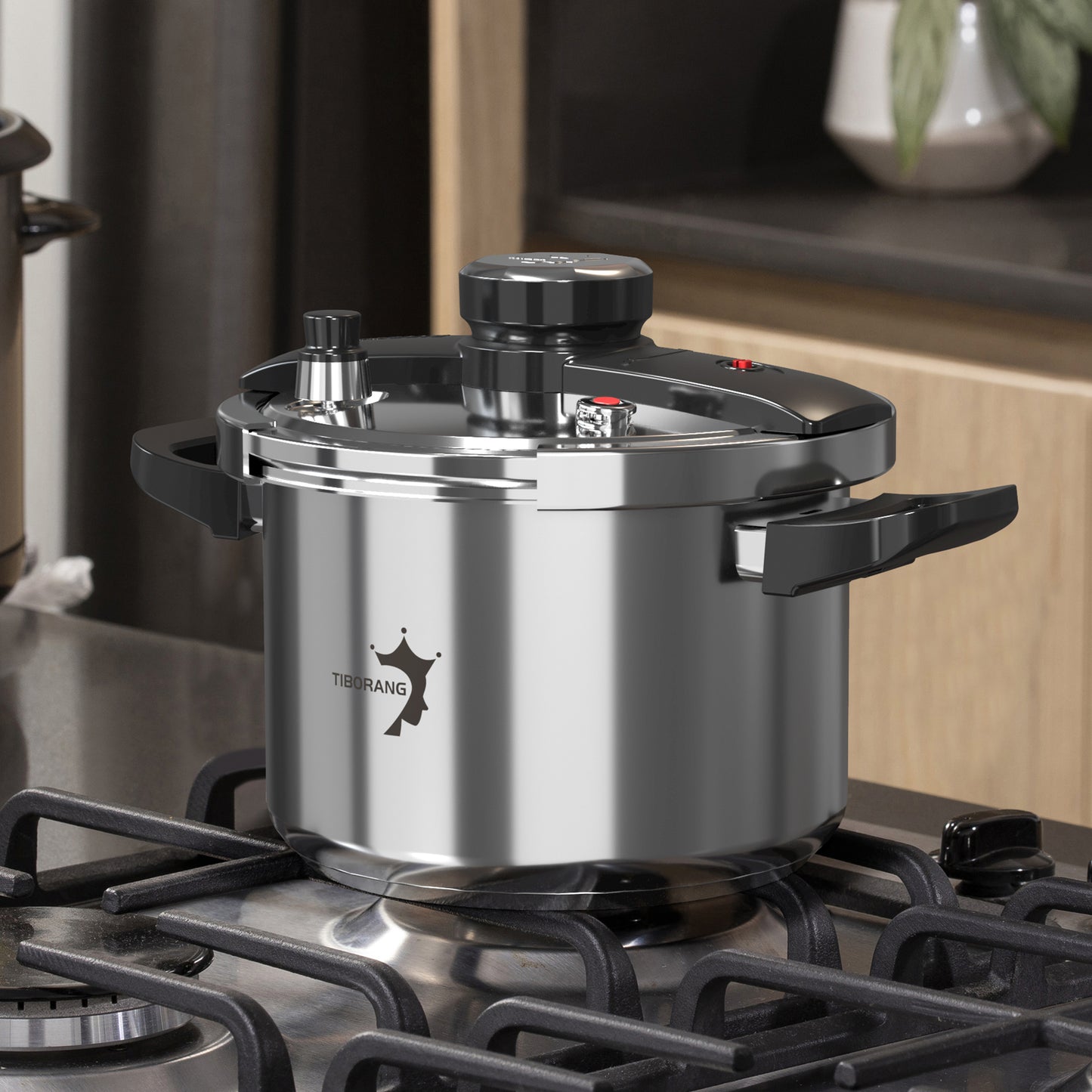 TIBORANG 6 QT Stainless Steel Pressure Cooker, [Multi-Cooker for Gas & Induction Stove] [Saves 70% Cooking Time] [One-Hand Operation], Family Size for 3-5 People, Dishwasher Safe & Oven Safe